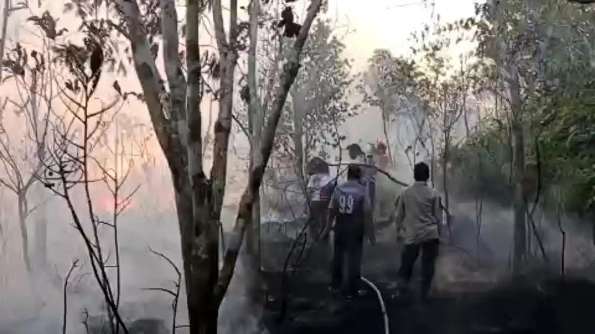 Kebakaran Lahan di Natuna, Akses Terbatas Membuat Petugas Kesulitan Padamkan Api