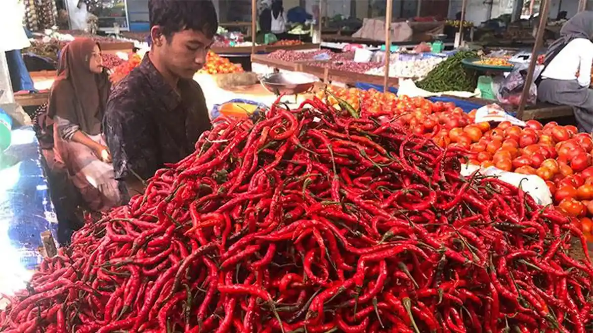 Harga Cabai Merah Turun di Aceh Tengah, Rp 30.000 per Kilogram
