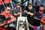 Berkunjung ke Pantai Jogosimo Kebumen, Fadly Padi Terkesan Lepas Tukik ke Bibir Pantai