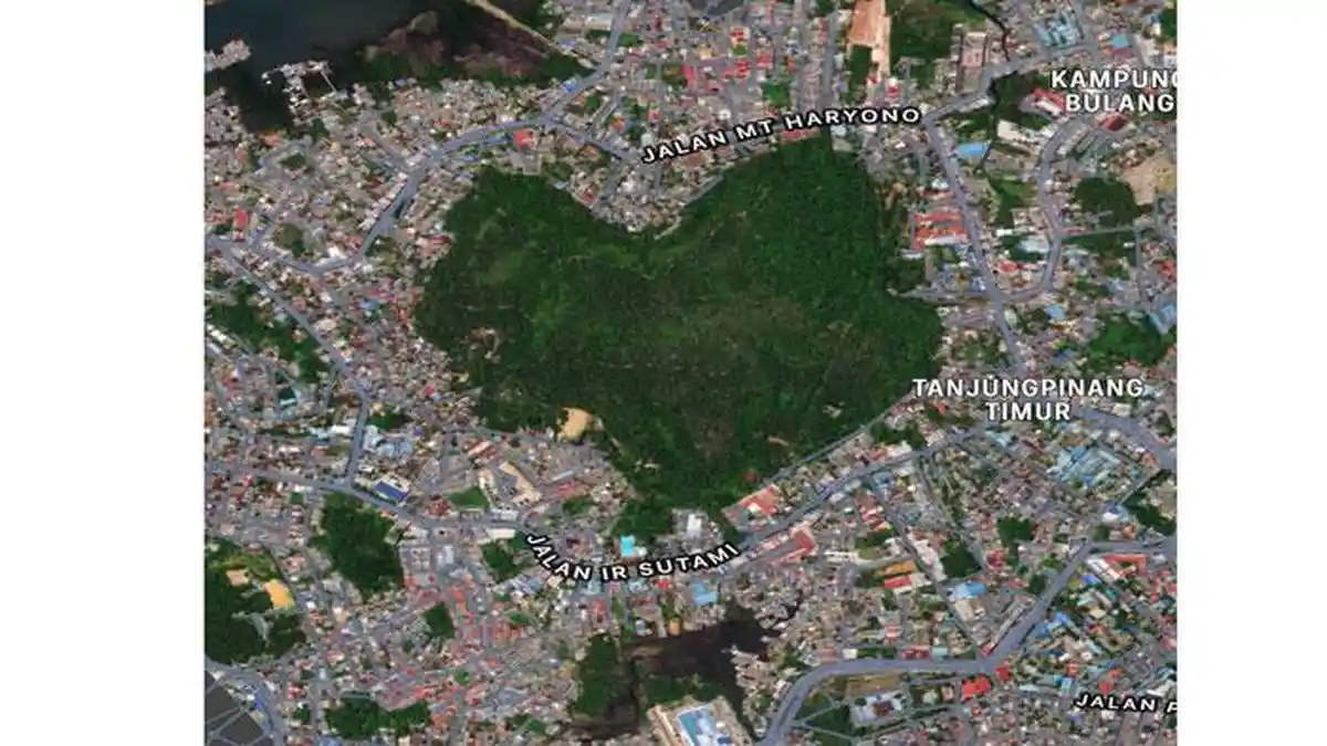 Wisata Hutan Berbentuk Hati di Tanjungpinang, Ada Pemakaman Kuno hingga Batu Menangis
