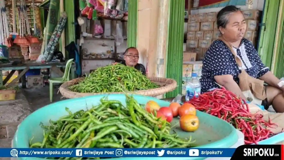 Update Harga Cabai di Musi Rawas Hari Ini, Sabtu 19 November 2022, Cabai Rawit Naik Rp 8.000 Per Kg