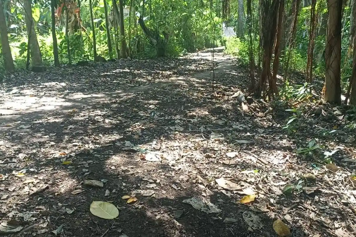 Pengunjung Minta Tutup Jalan Tikus Menuju Pantai Cepi Watu Borong