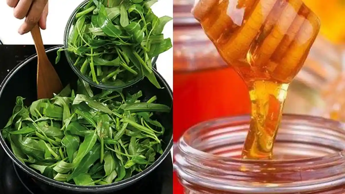 Air Rendaman Kangkung dan Madu Bisa Jadi Obat Alami 7 Penyakit Ini!