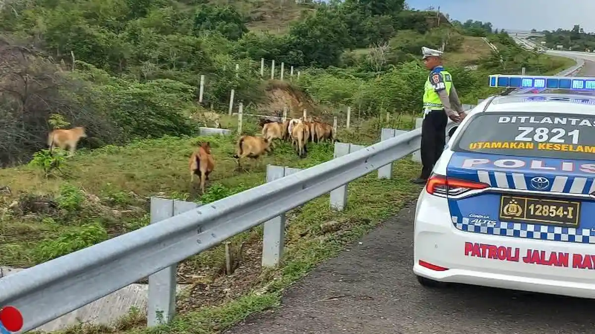 Tak ada Diskon Tarif Tol Sibanceh Selama Lebaran, Tarif Tol di Jawa Diskon Hingga 20 Persen