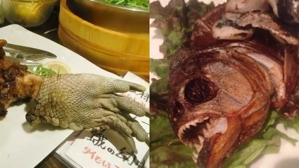 Daftar Kuliner Ekstrem di Negara Asia, dari Nasi Cicak hingga Olahan Kalajengking dan Laba-laba