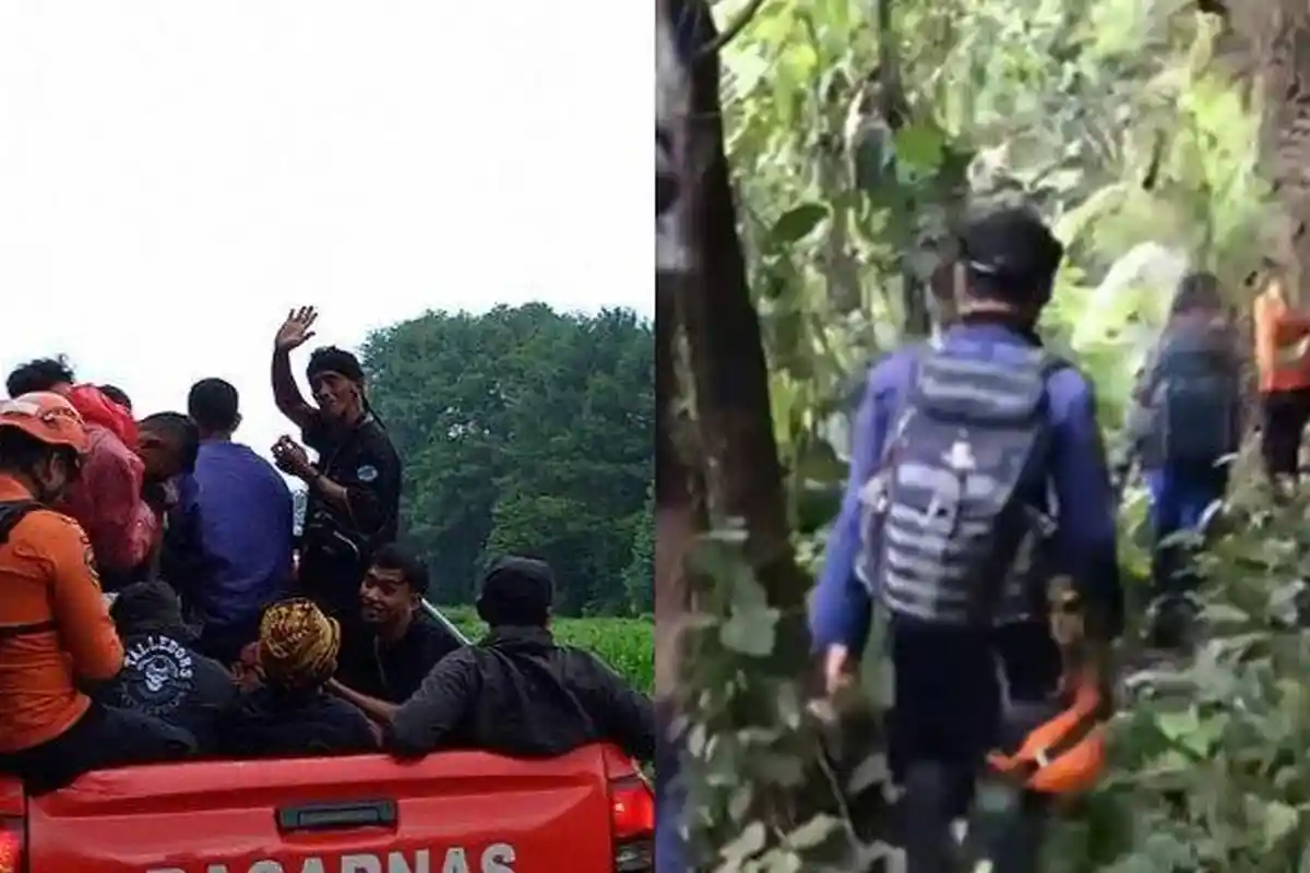 Cerita Pendaki Tersesat di Gunung Pangrango, Bertemu Ulat Menyala hingga Lakukan Ritual di Curug