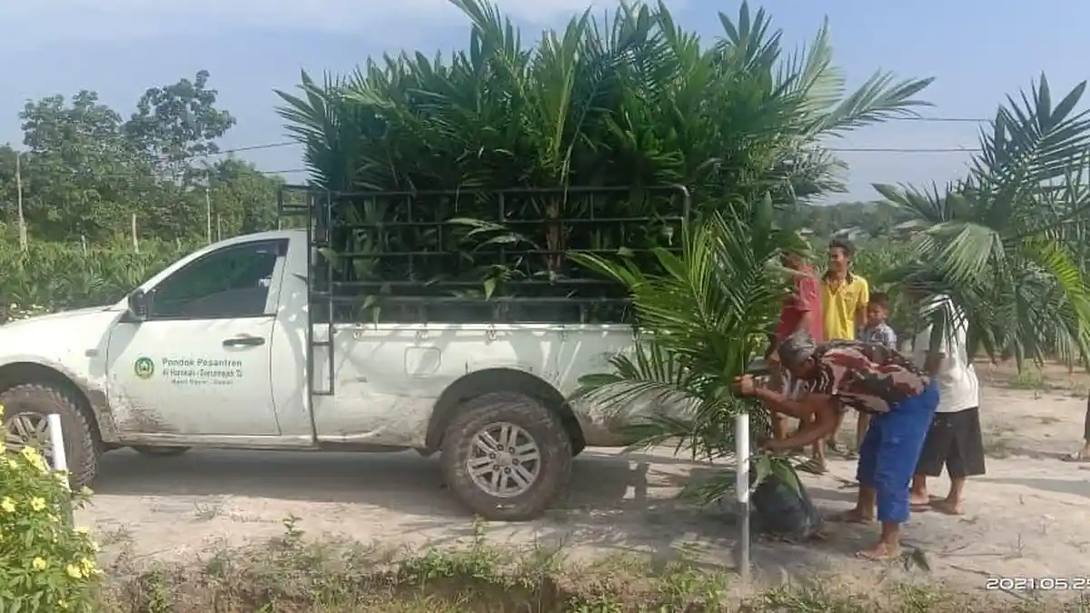 3.200 Petani Borong 708.277 Bibit Sawit Unggul PTPN V