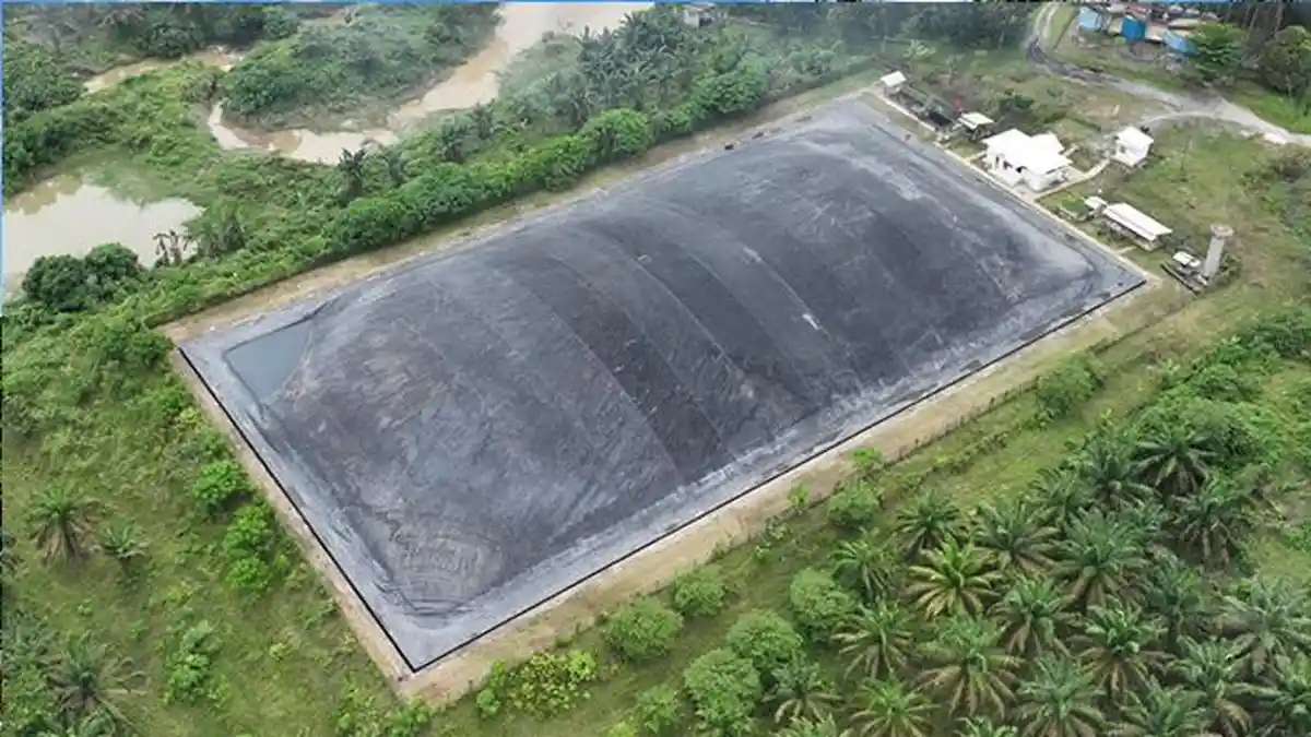 PKS Tapung Optimalkan Limbah Jadi Pupuk Organik dan Energi Baru Terbarukan