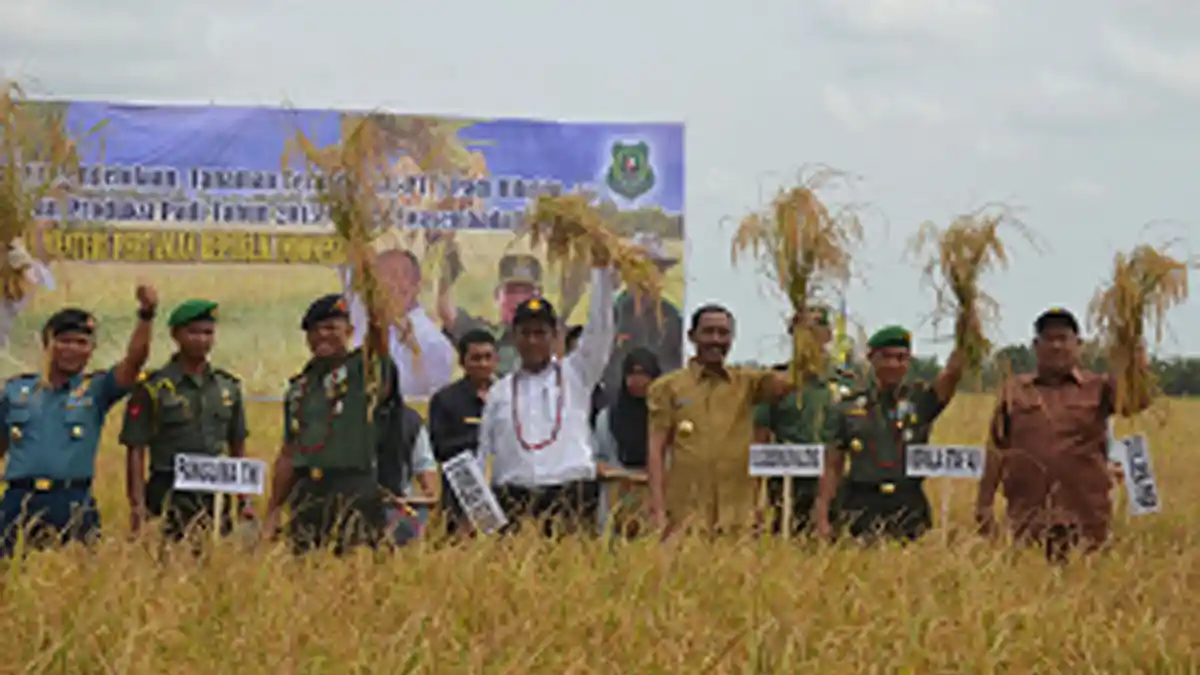 Panglima TNI, Mentan, dan Anggota DPR Panen Raya di Kalimantan Tengah