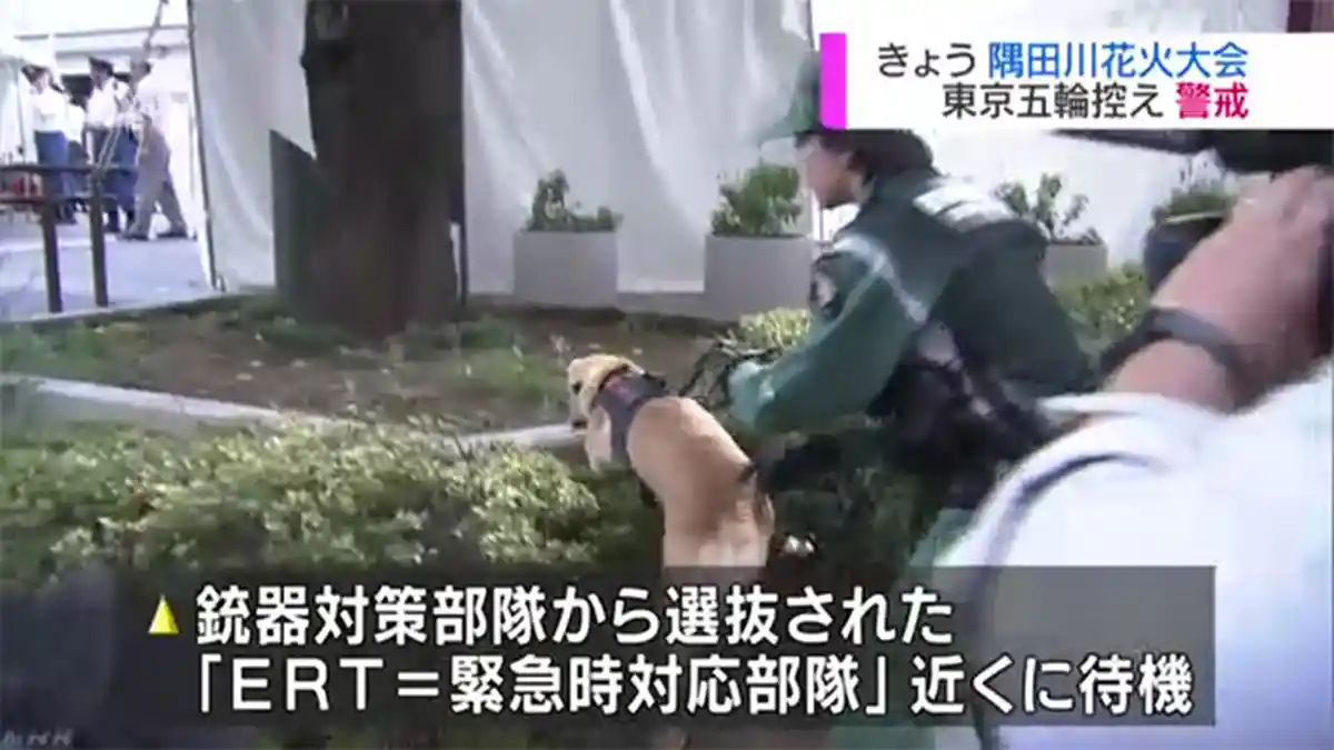 Festival Kembang Api Sumidagawa Tokyo Jepang Dikawal 3.000 Polisi