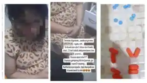 penggemuk-badan-ya.jpg
