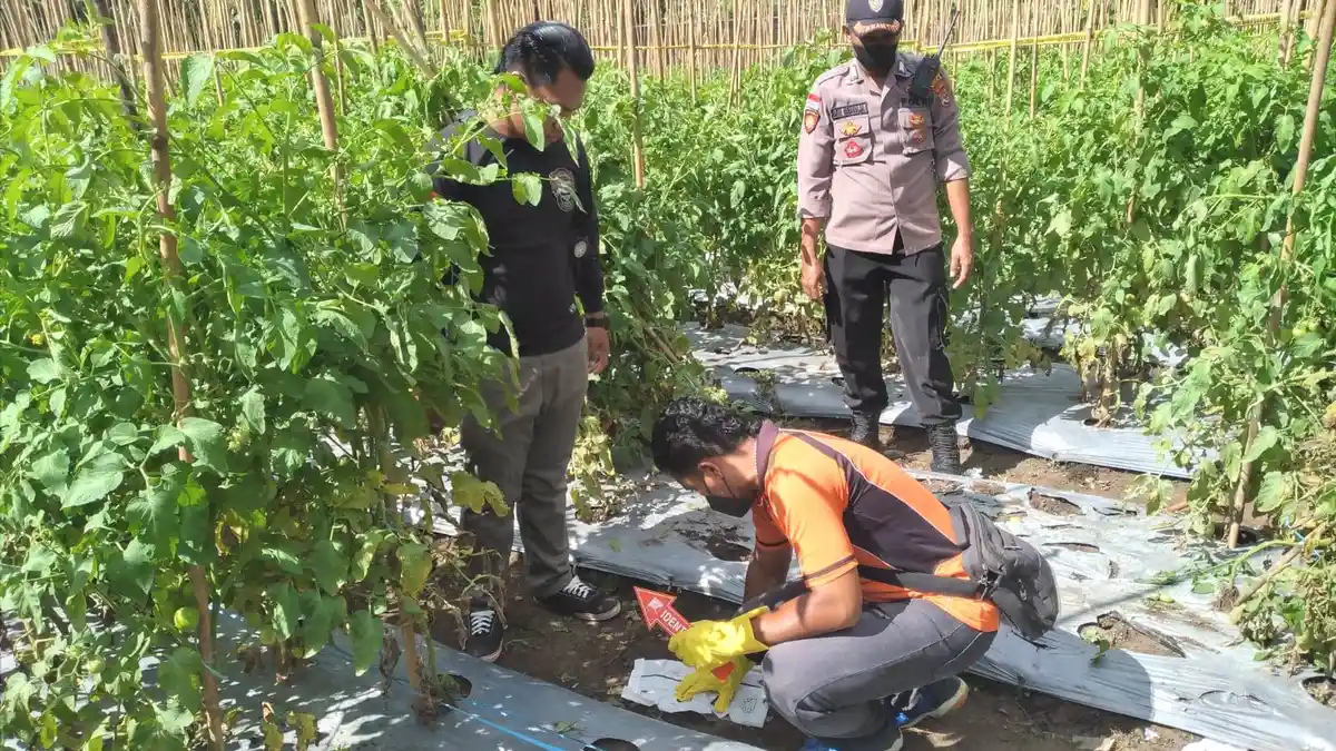 Seorang Pria Dusun Rotat, Kecamatan Nita-Sikka Tewas, Ini Kata Keluarga