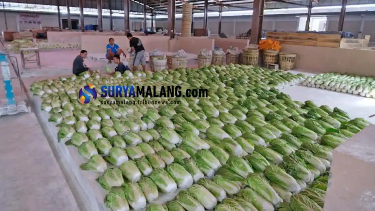 Setahun Setelah Diresmikan, Begini Kondisi Pedagang Pasar Sayur Kota Batu