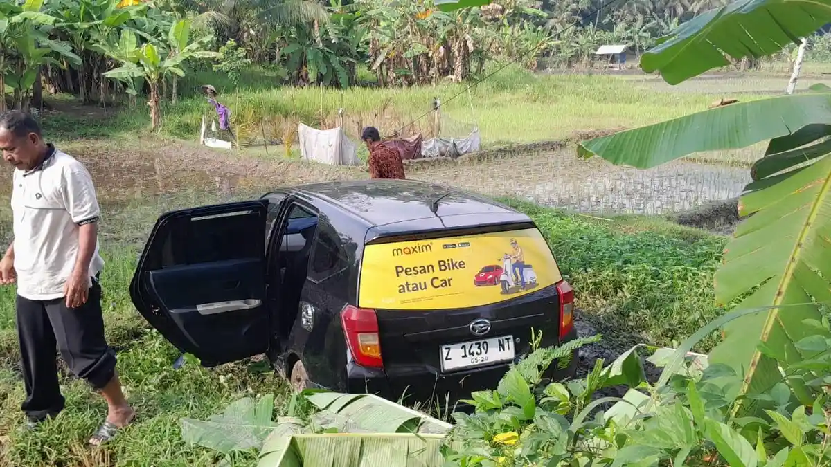 Diduga Gegara Sopir Mengantuk, Mobil Wisatawan Terjun ke Sawah di Pangandaran