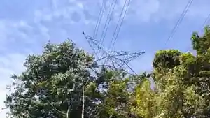 ppll-nn1111.jpg