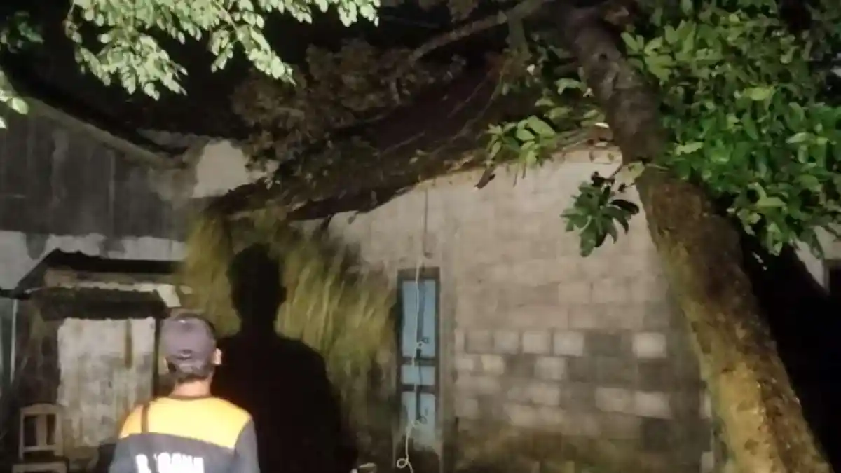 BREAKING NEWS: Angin Kencang Landa Tempel Sleman, 21 Rumah Rusak 