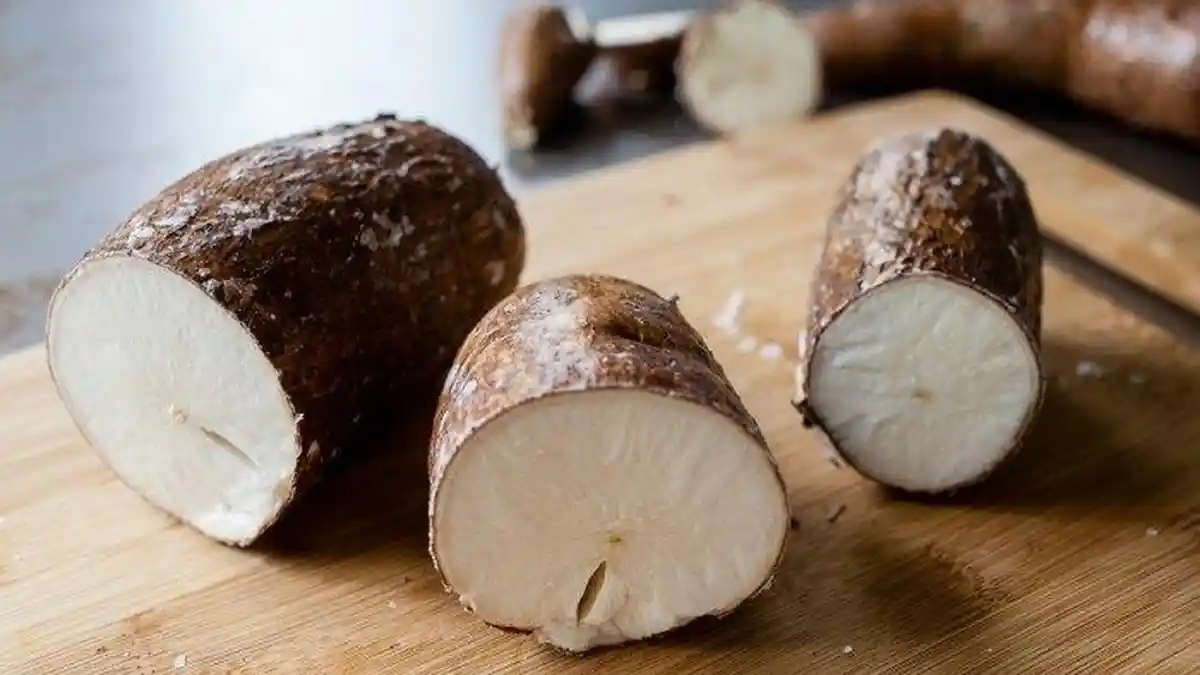 Deretan Makanan Berbahaya di Dunia yang Jarang Orang Tahu, Salah Satunya Singkong