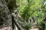 Goa Kreo Mulai Ramai Dikunjungi Wisatawan Domestik