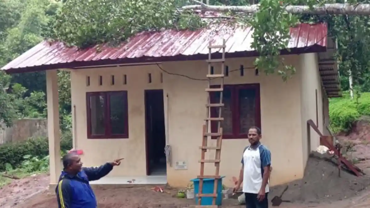 Rumah Warga Blang Mangat Lhokseumawe Tertimpa Pohon Nangka, Begini Kronologisnya