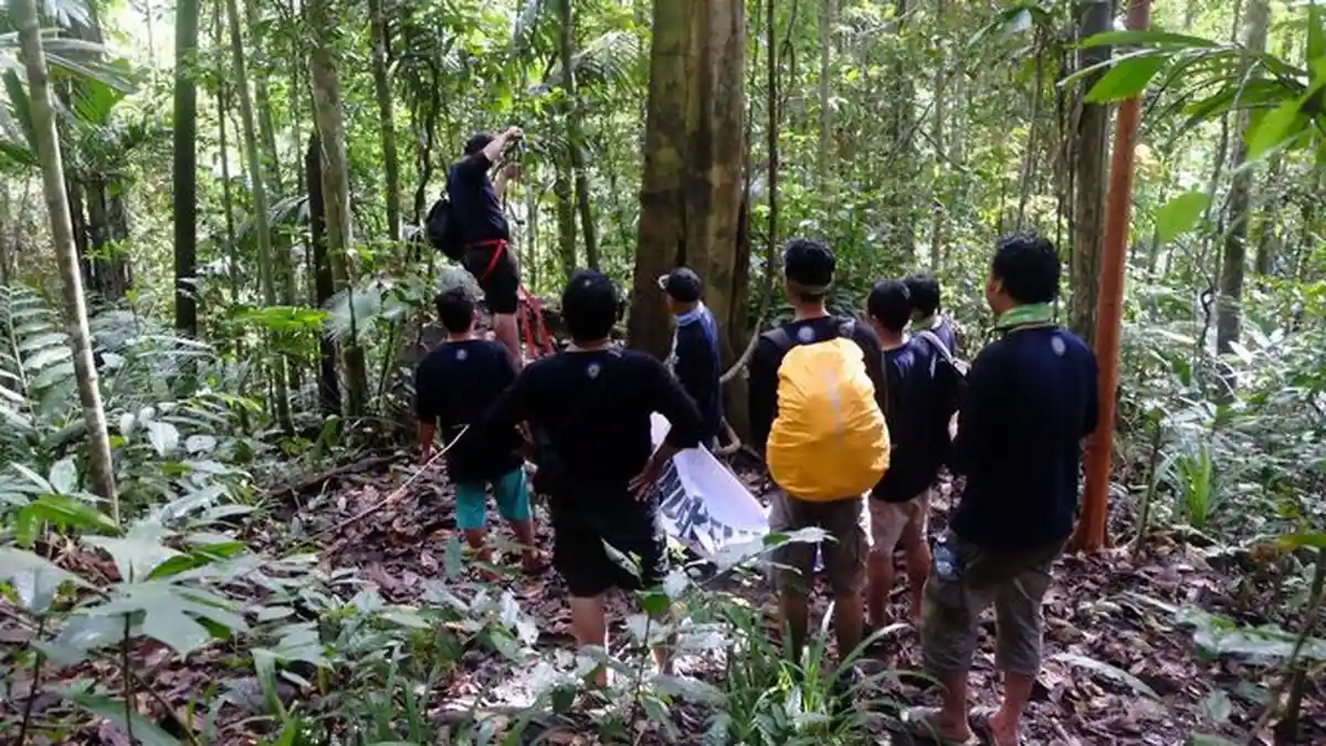 Mengamati Burung Bidadari yang Sudah Langka, Berikut Sejumlah Keunikannya
