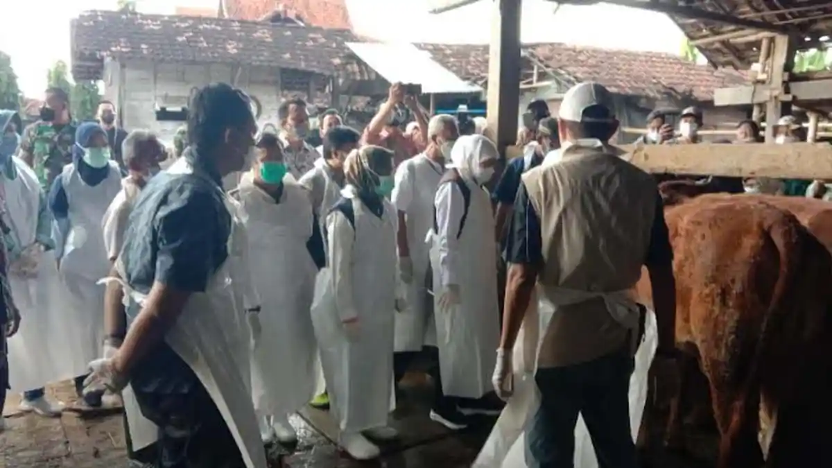 Banyak Sapi Terjangkit Penyakit Mulut dan Kulit di Jatim, Pasar Hewan di 5 Daerah Ini Harus Ditutup