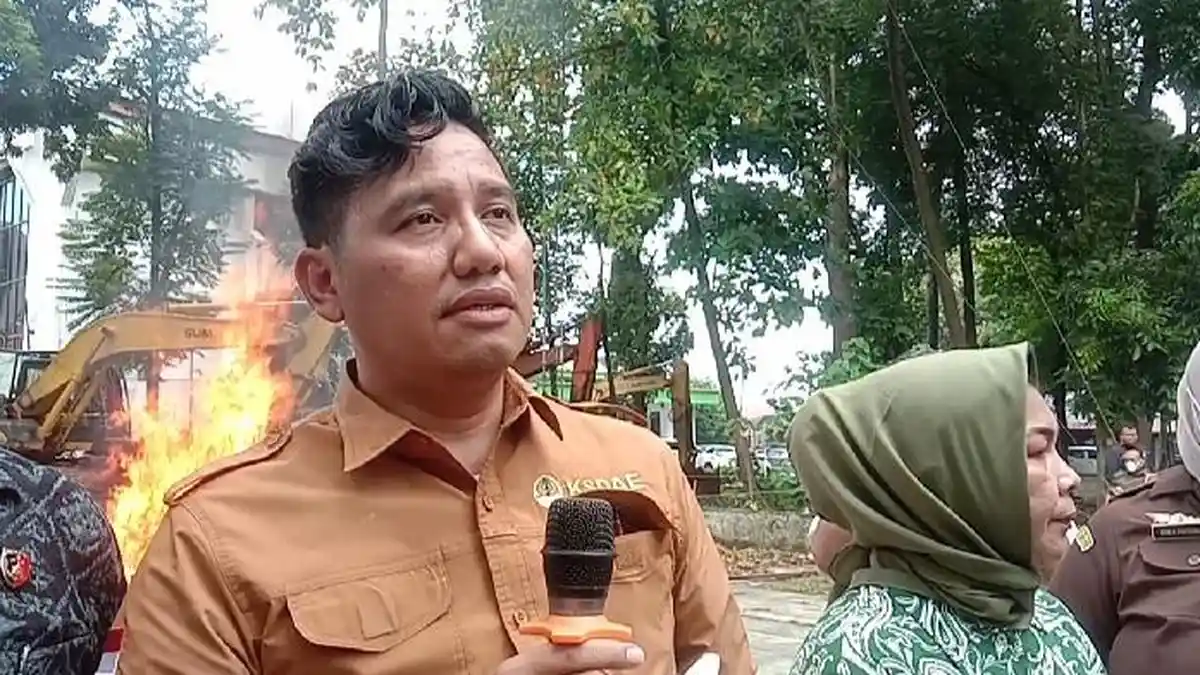Nasib Harimau di Sumatera Utara Mengkhawatirkan, Populasi Bertambah Tapi Habitat Berkurang