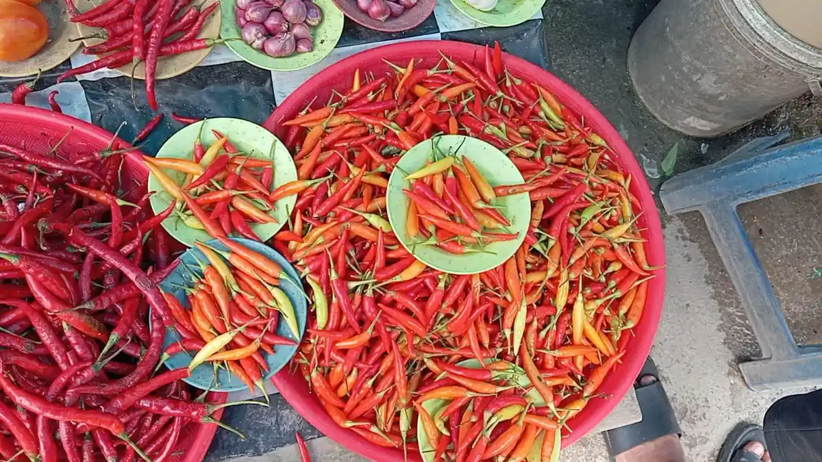 Harga Cabai di Pasar Marren Tual Turun, Kini Rp 100 ribu per Kilo 
