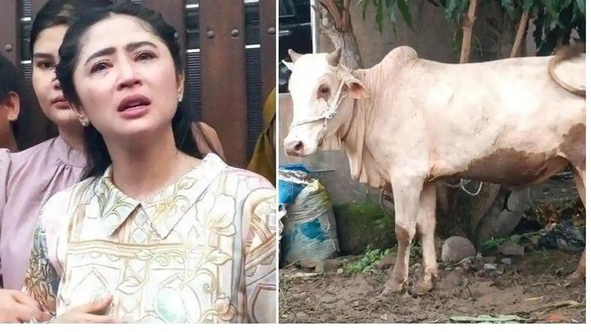 Sensasi Dewi Perssik, Tuduh Pak RT Minta Uang 100 Juta soal Kurban, Ternyata Sopirnya yang Budek