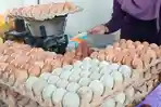 HARGA-stabil-daya-beli-konsumen-terhadap-telur-ayam-lebih-meningkat.jpg