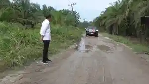 Jokowi-Pandangi-Jalan-Rusak-Labura.jpg