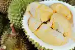 5-fakta-durian-benarkah-bisa-sebabkan-kematian-pendapat-ini-kontras-dengan-kejadian-di-minahasa.jpg