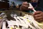 Sepatu Ceker Ayam dari Bandung Tembus Mancanegara