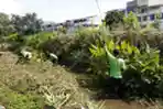 Perawatan Tanaman untuk Penuhi Ruang Terbuka Hijau