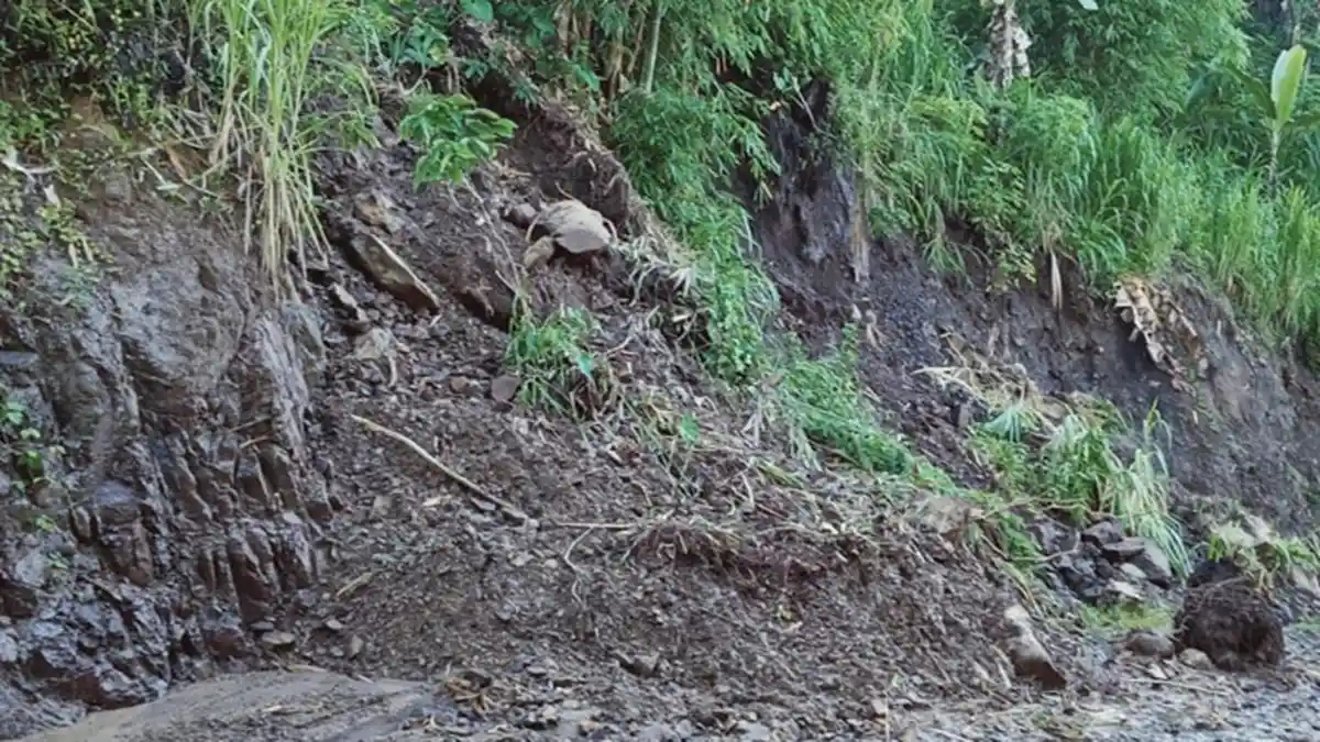 Jalan di Desa Selalejo Kabupaten Nagekeo Tertimbun Material Longsor