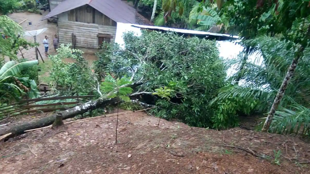 Rumah yang Rusak Disapu Puting Beliung Capai 36 Unit di Aceh Barat, Ini Rincian Pemiliknya