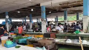 LAPAK-JUAL-IKAN123789.jpg