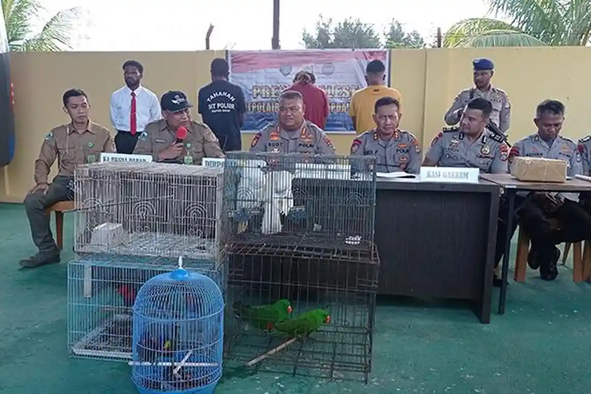 Diduga Jual Nuri dan Kakatua Endemik Papua di Media Sosial, Polisi dan BKSDA Ringkus 2 Pelaku