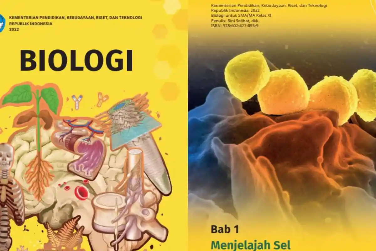Kunci Jawaban Biologi SMA/MA Kelas 11 Kurikulum Merdeka Halaman 5 6 7 8: Pengamatan Struktur Sel