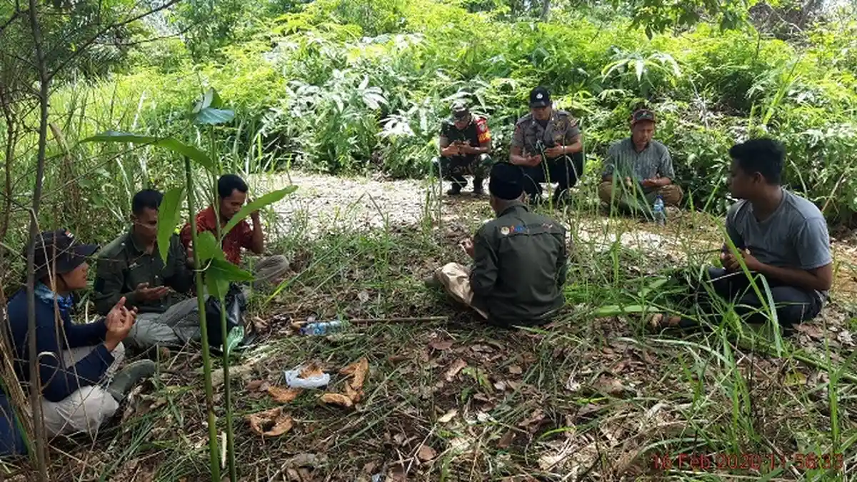 Usir Harimau yang Berkeliaran di Permukiman Penduduk, BKSDA Gunakan Ritual Pawang