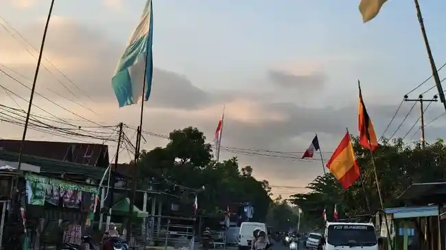 Tribun