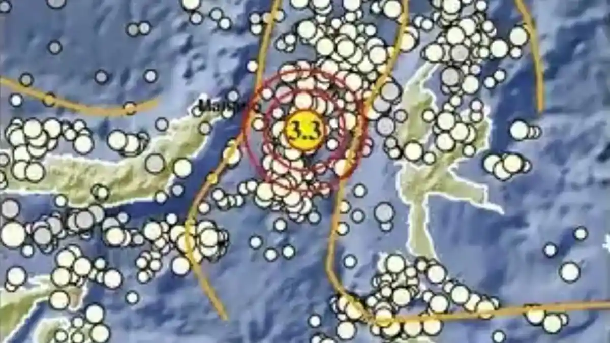 Gempa Terkini di Maluku Utara Selasa 2 Juni 2026, Info BMKG Magnitudo dan Lokasinya