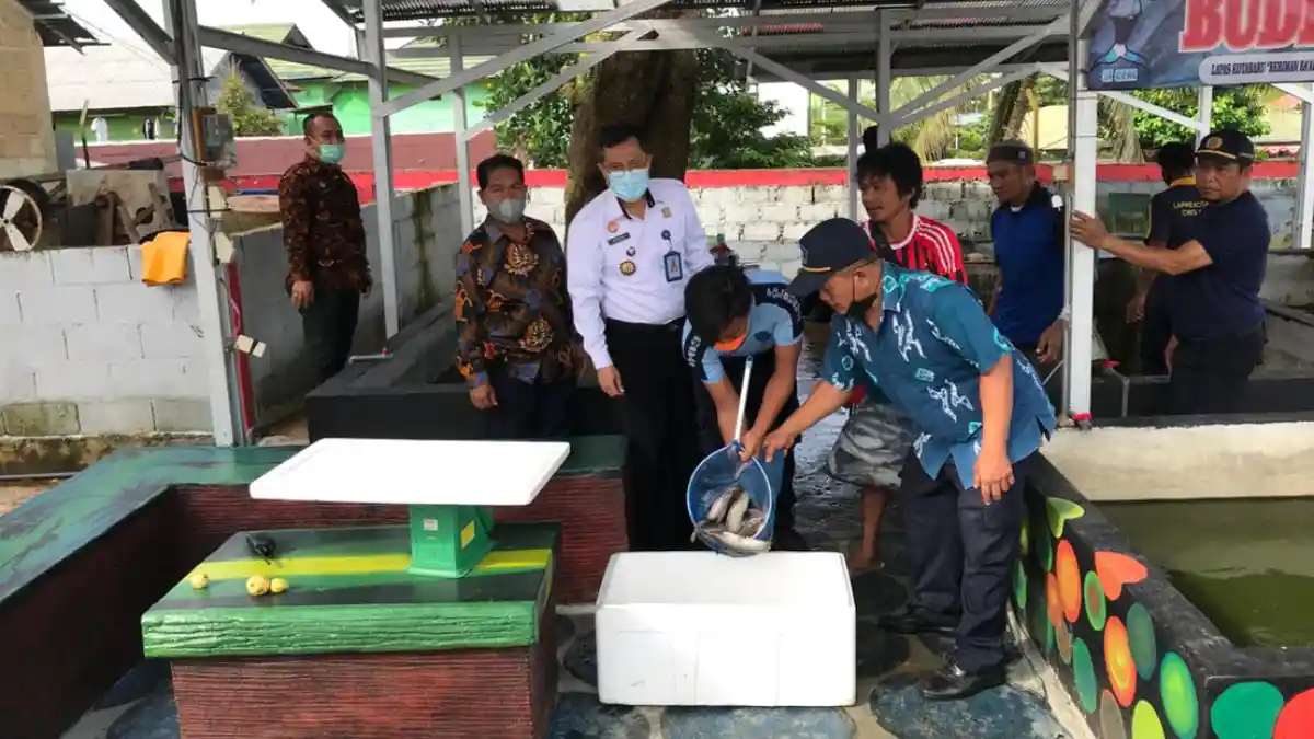 WBP dan Petugas Lapas Kelas II A Kotabaru Panen Perdana Ikan Lele