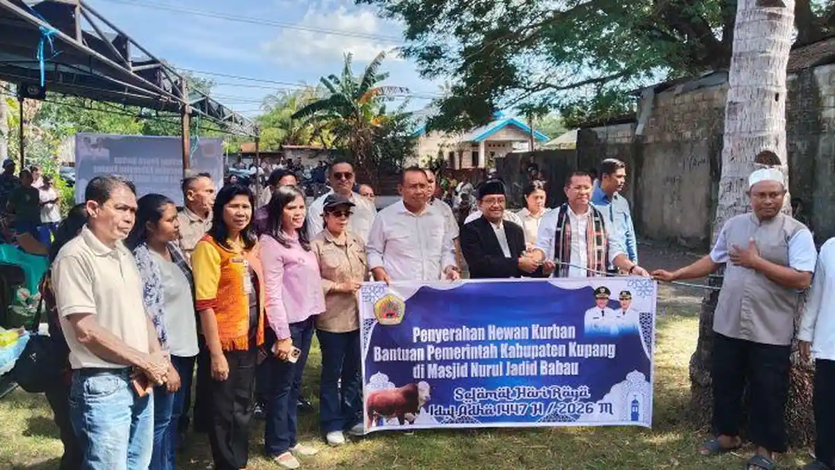 Pemkab Kupang Serahkan Hewan Kurban di Masjid Nurul Jadid Babau