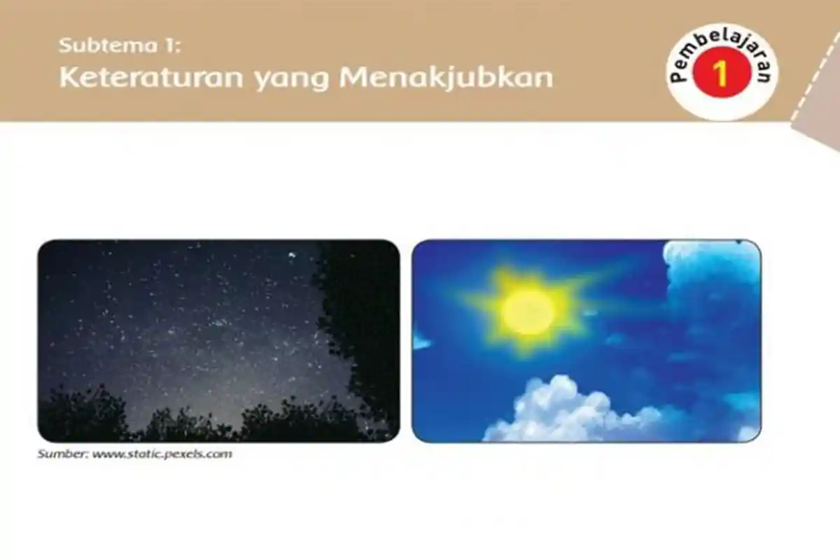 KUNCI JAWABAN Tema 9 Kelas 6 Halaman 1 2 3 4 5 6 7 8 9 10 11 Subtema 1 Keteraturan yang Menakjubkan