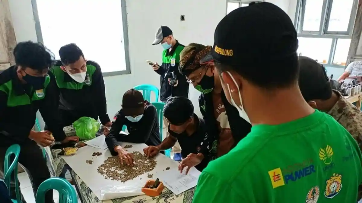 Konservasi Kopi Gunung Ungaran, Unnes Dampingi Petani Ngesrepbalong