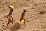 Bencana Kekeringan dan Kelaparan Ancam Afrika