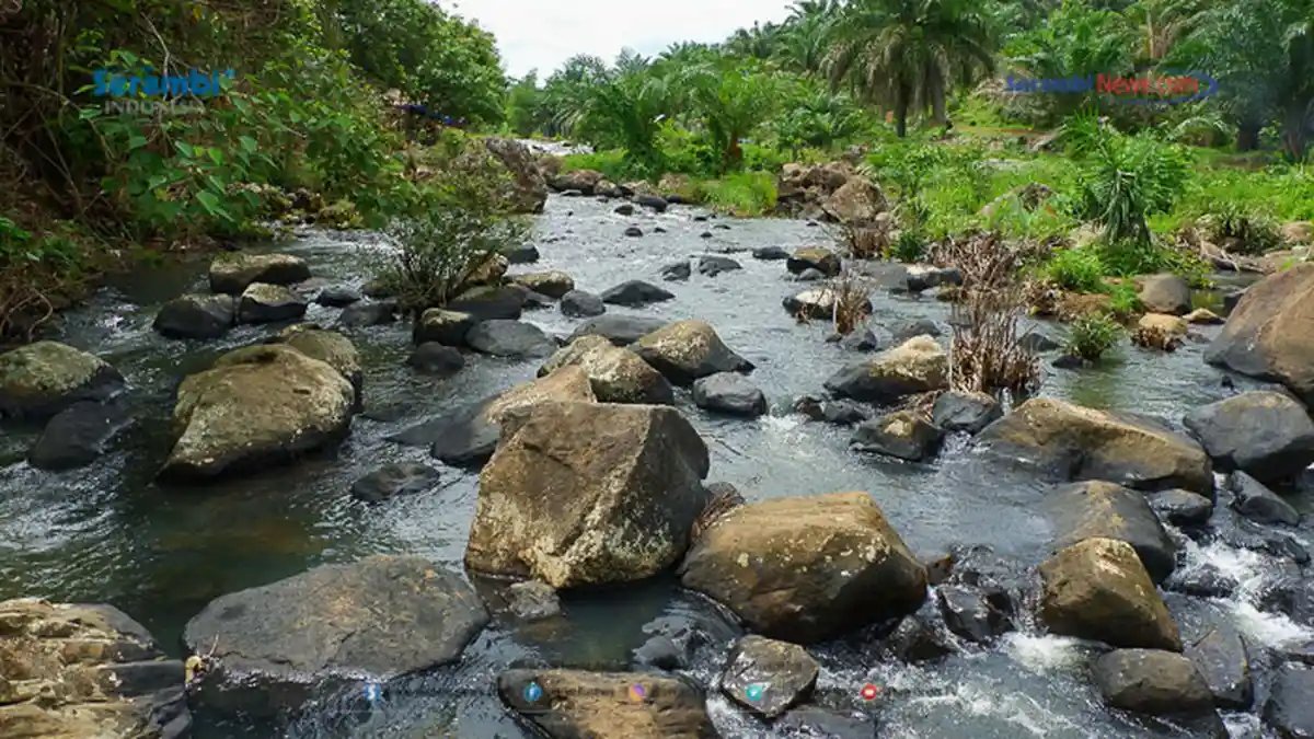 FOTO - Air Terjun Rayap Destinasi Wisata di Aceh Utara Yang Kembali Ramai Dikunjungi - air-terjun-rayap-di-aceh-utara-7.jpg