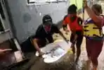 Relawan Evakuasi Bayi Berumur 22 Hari