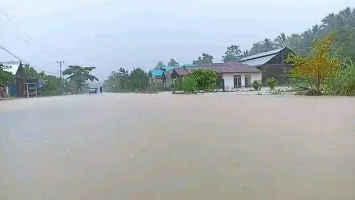 Banjir Rendam Dataran Toili Banggai, 50 Rumah Dilaporkan Terdampak