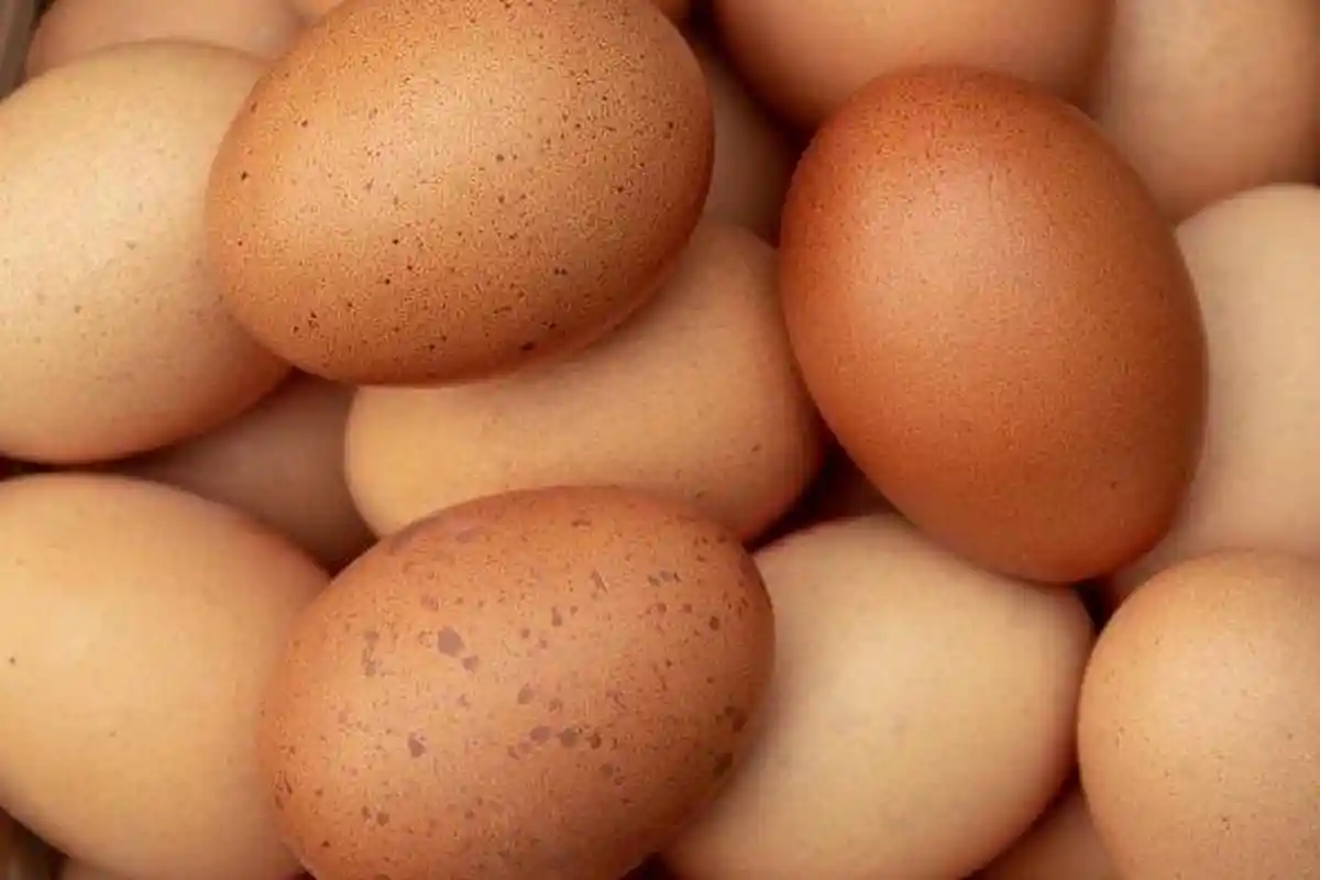 Apakah Benar Makan Telur Bisa Menyebabkan Bisul? Berikut Ini Penjelasan Ahli Kesehatan